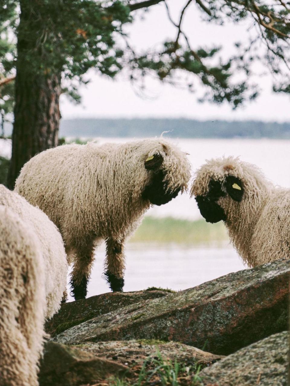 Snaellfaell Country Living - Akerbo Gard Charmigt Renoverad Flygel Kristinehamn Bagian luar foto