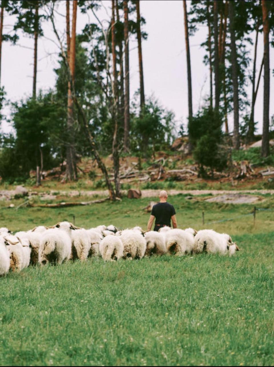 Snaellfaell Country Living - Akerbo Gard Charmigt Renoverad Flygel Kristinehamn Bagian luar foto